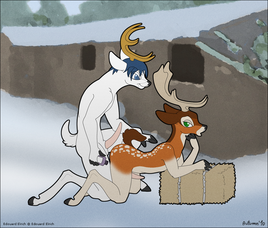 2010 Rule 34 Image