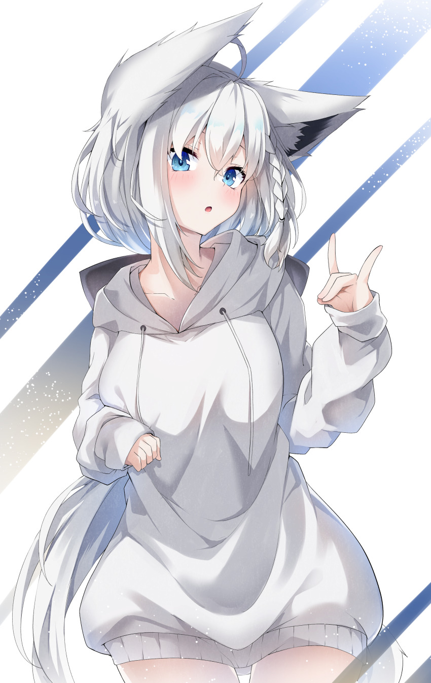 Shirakami Fubuki (Hololive) Rule 34 Image