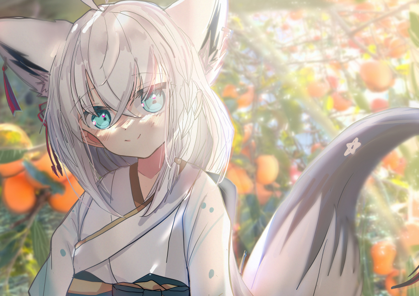 Shirakami Fubuki (Hololive) Rule 34 Image
