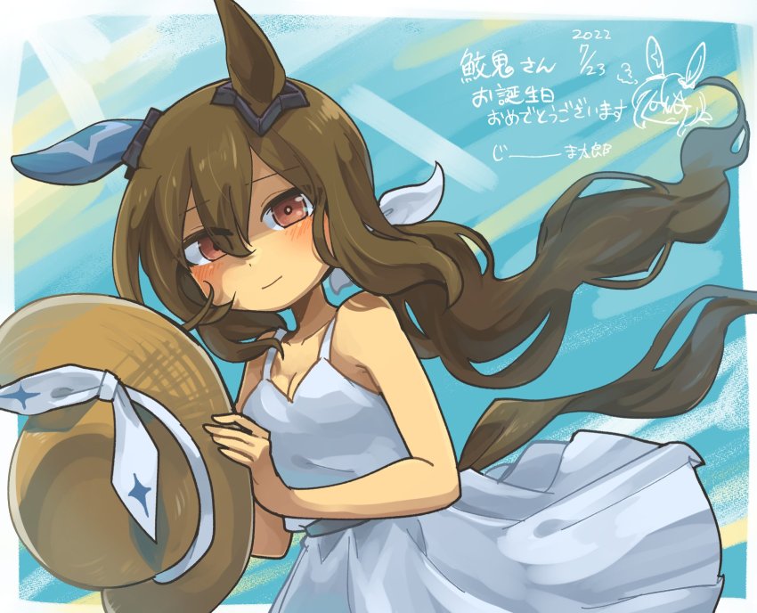 Admire Vega (Umamusume) Rule 34 Image