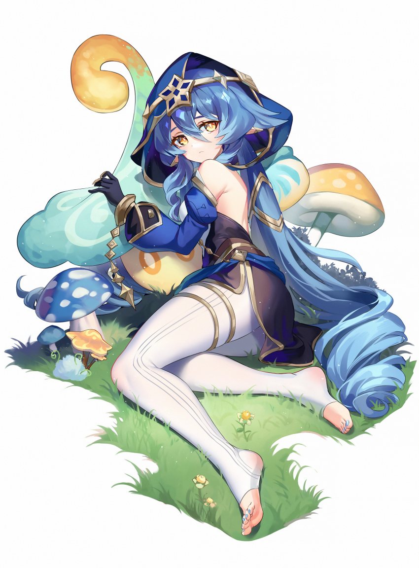 Layla (Genshin Impact) Rule 34 Image