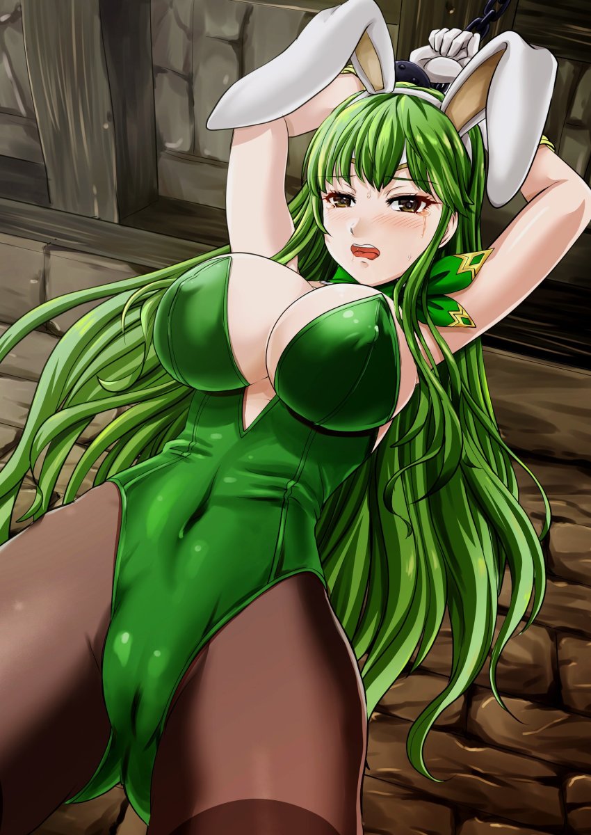 Palla (Fire Emblem) Rule 34 Image
