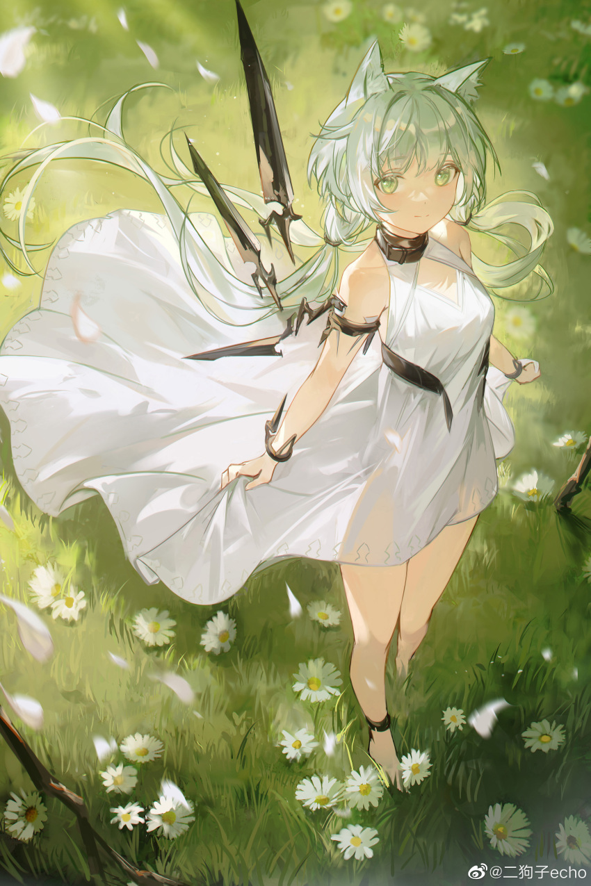 Rosmontis (Arknights) Rule 34 Image