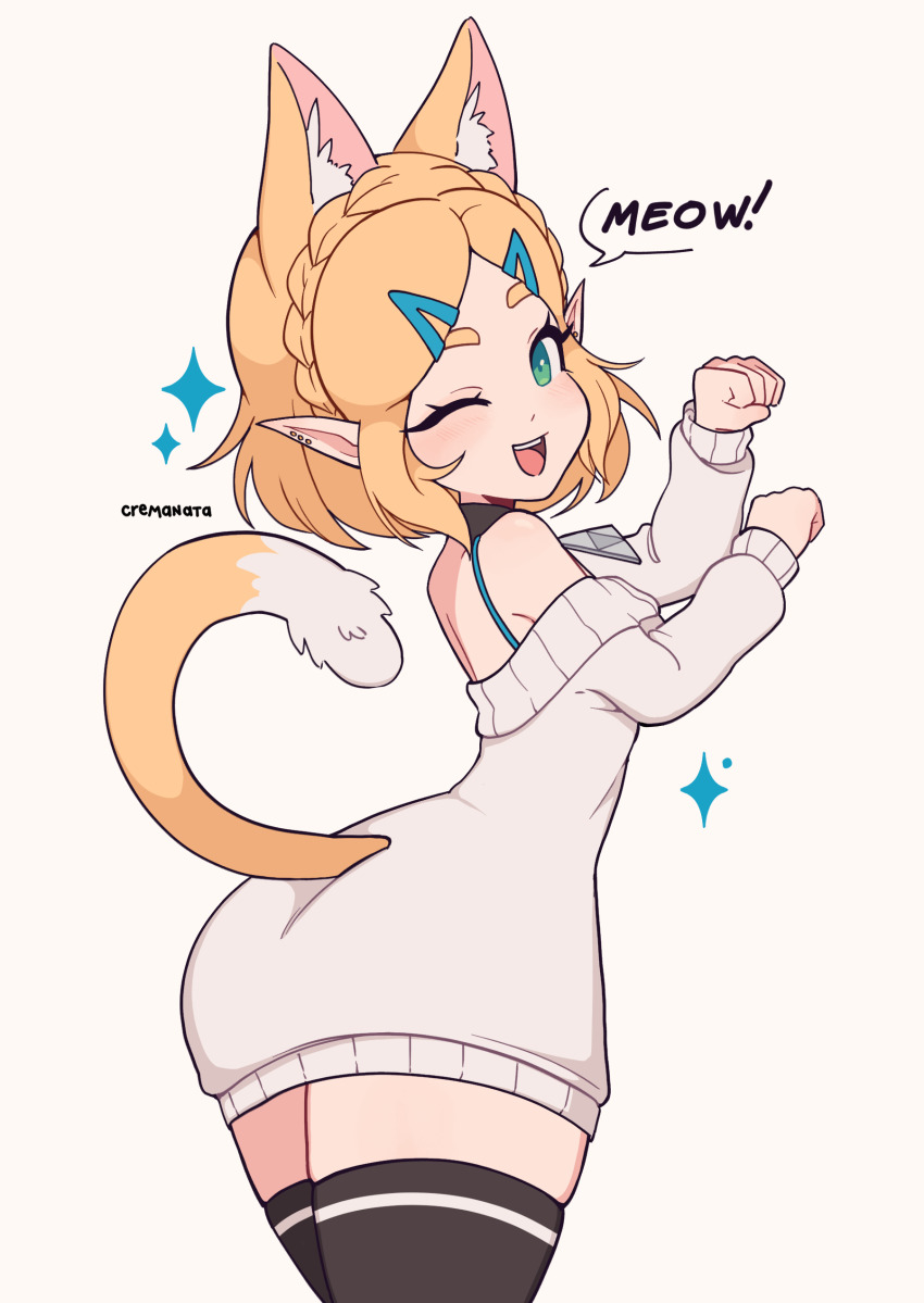 Princess Zelda (Nintendo) Rule 34 Image