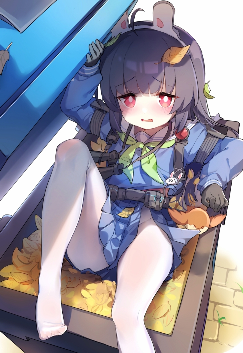Miyu (Blue Archive) Rule 34 Image