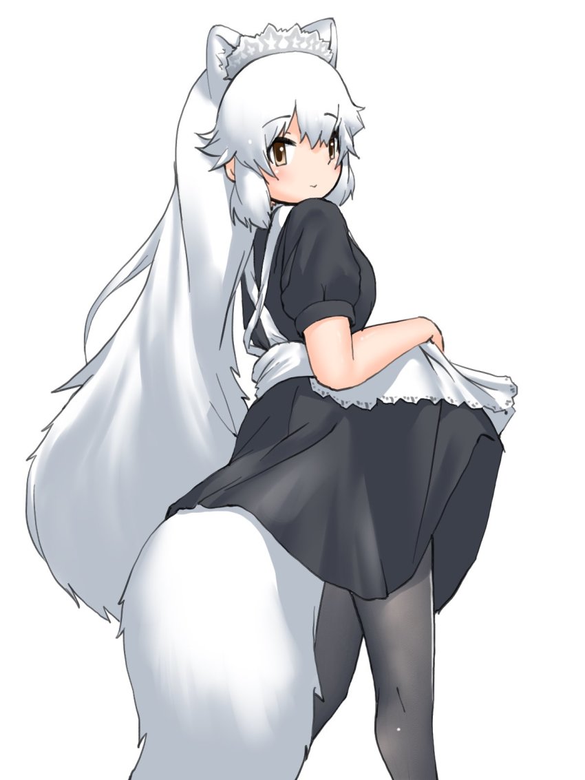Arctic Fox (Kemono Friends) Rule 34 Image