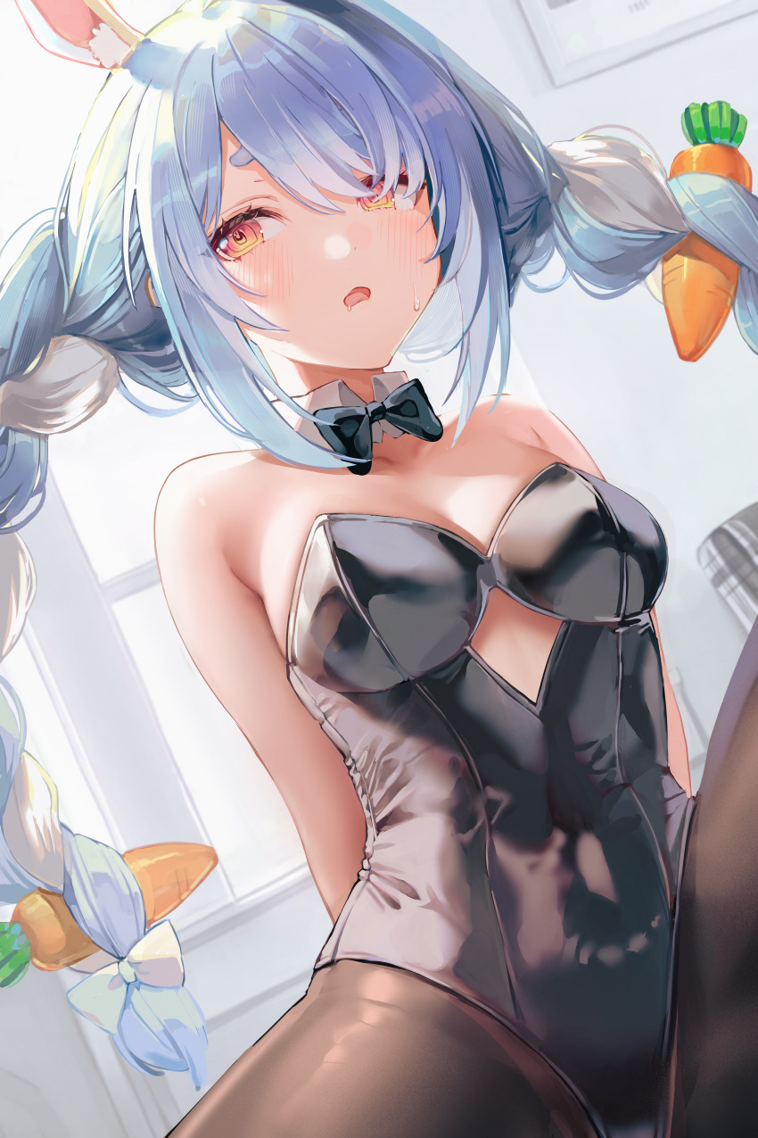 Usada Pekora (Hololive) Rule 34 Image