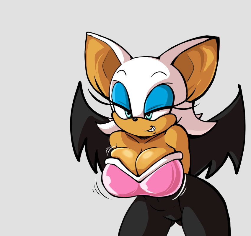 Rouge The Bat (Sega) Rule 34 Image