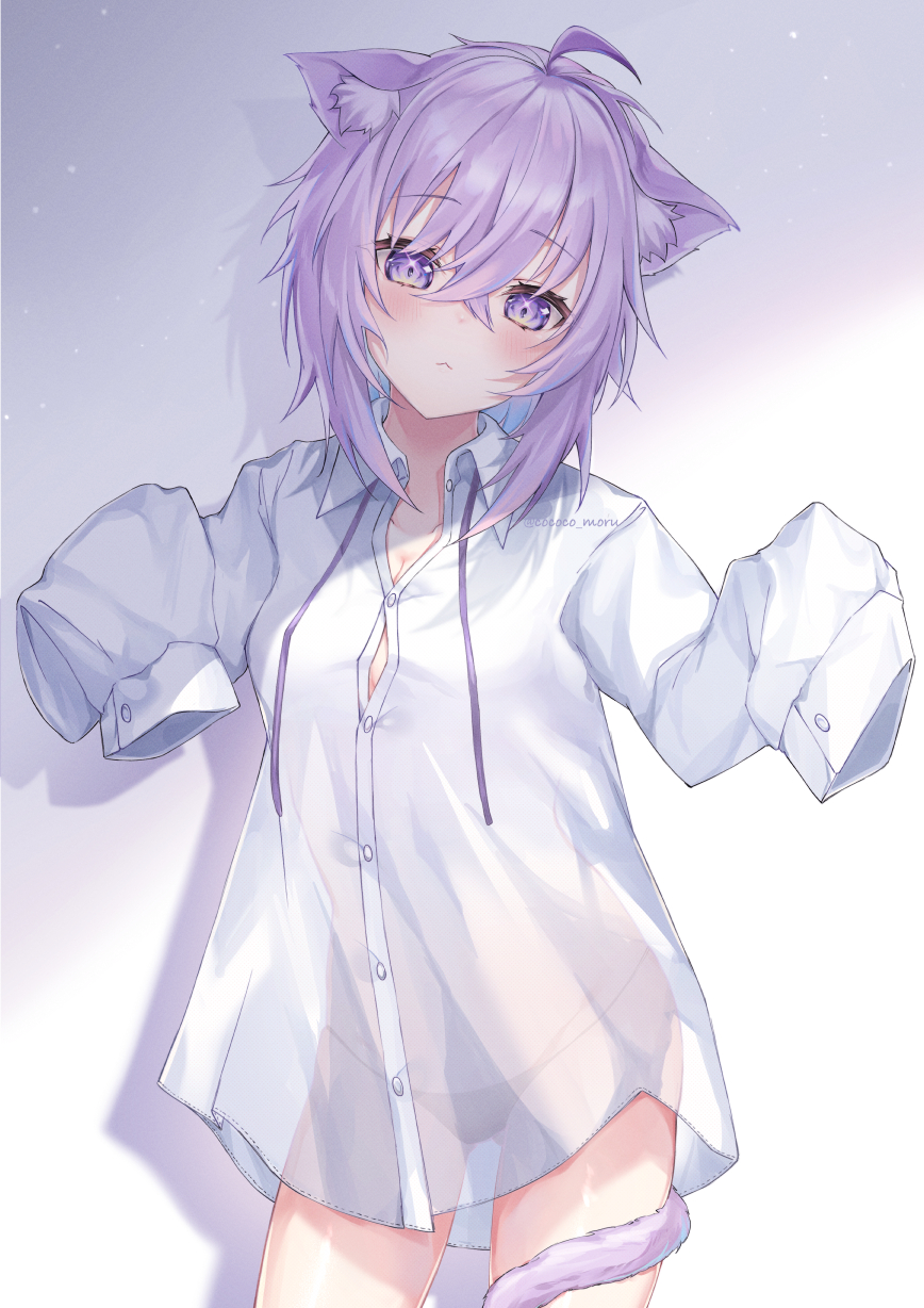 Nekomata Okayu (Hololive) Rule 34 Image