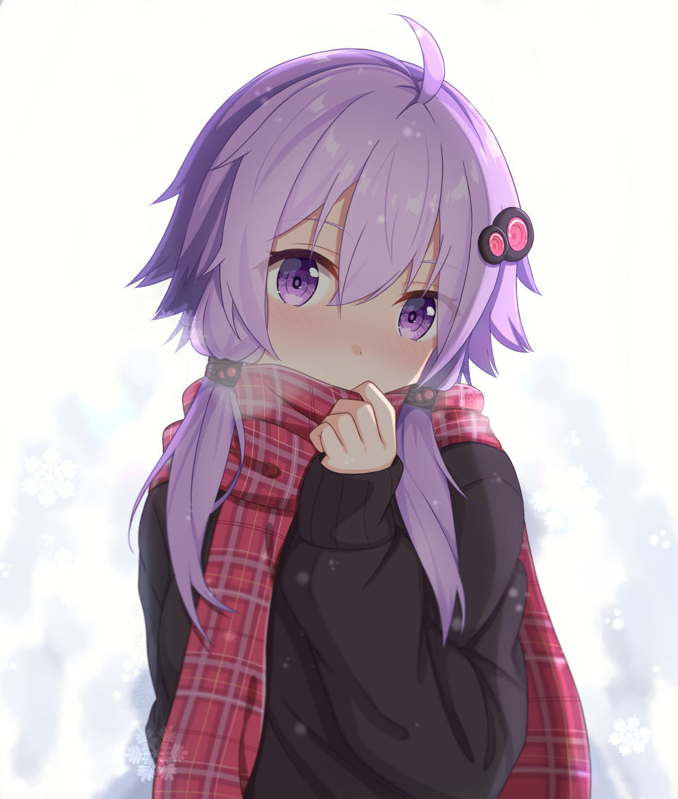 Yuzuki Yukari (Voiceroid) Rule 34 Image