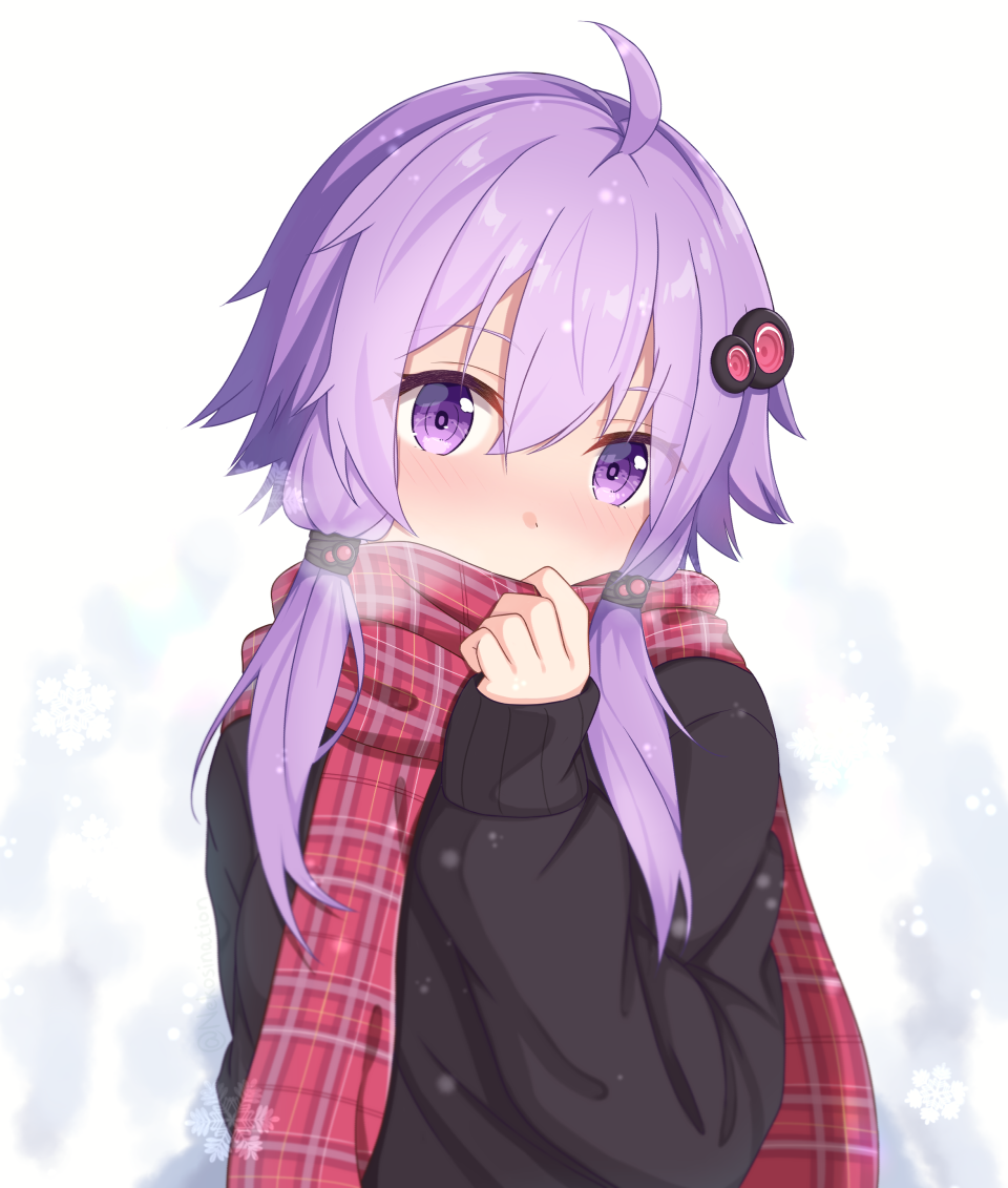 Yuzuki Yukari (Voiceroid) Rule 34 Image