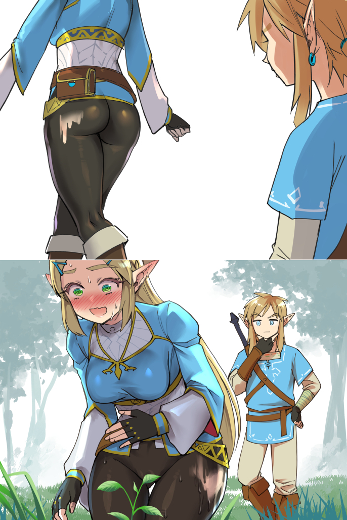 Link (Nintendo) Rule 34 Image