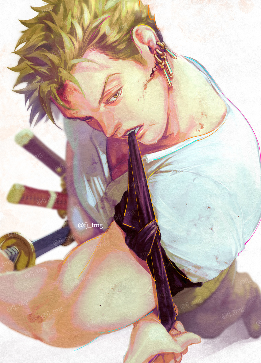 Roronoa Zoro (One Piece) Rule 34 Image
