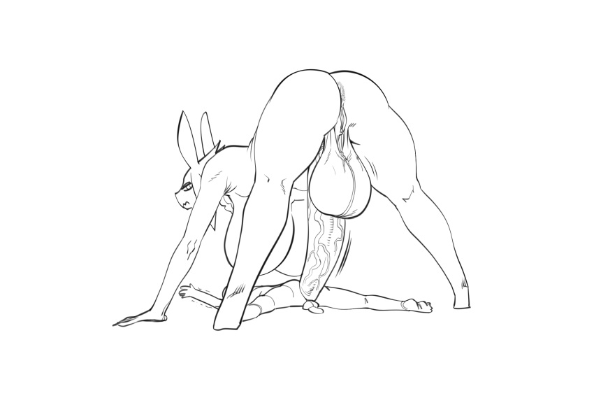2023 Rule 34 Image