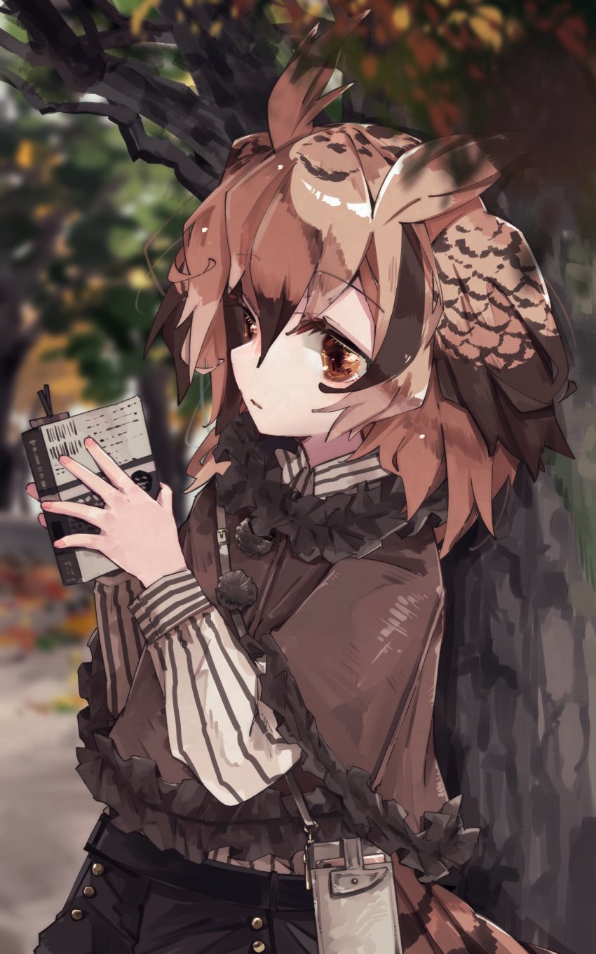 Eurasian Eagle Owl (Kemono Friends) Rule 34 Image