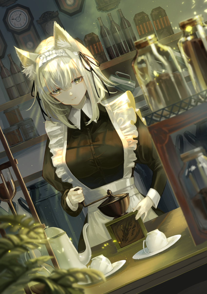 Kal'Tsit (Arknights) Rule 34 Image