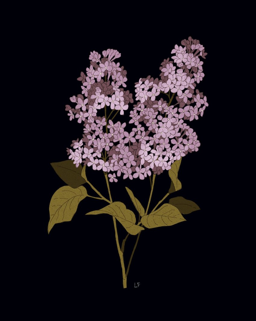Lilac (Original) Rule 34 Image
