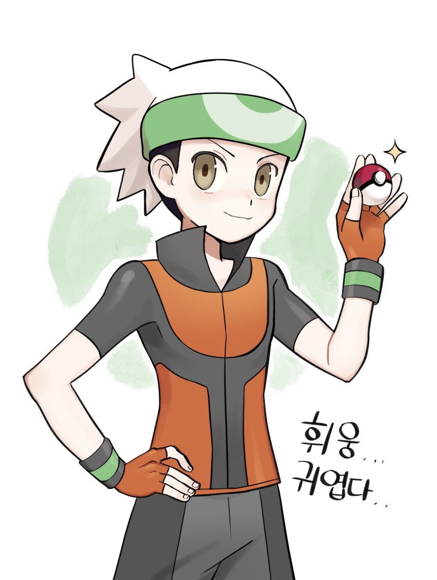 Brendan (Pokemon) Rule 34 Image