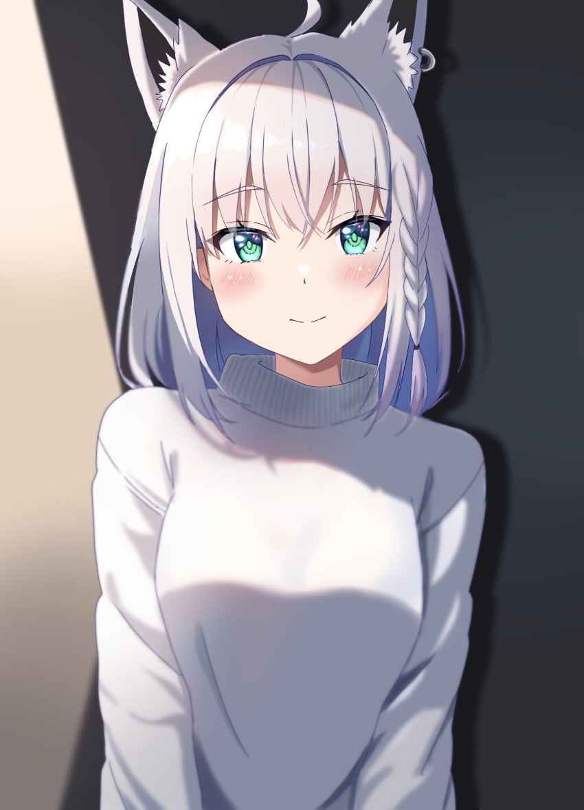 Shirakami Fubuki (Hololive) Rule 34 Image