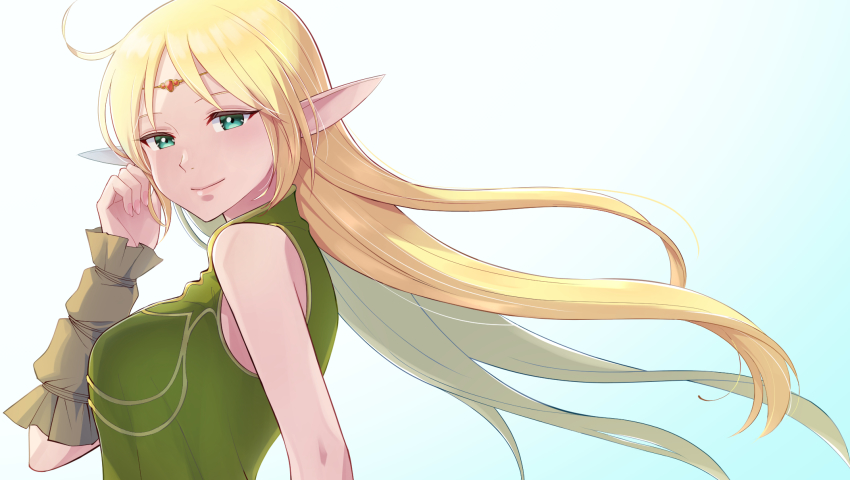 Deedlit (Record Of Lodoss War) Rule 34 Image