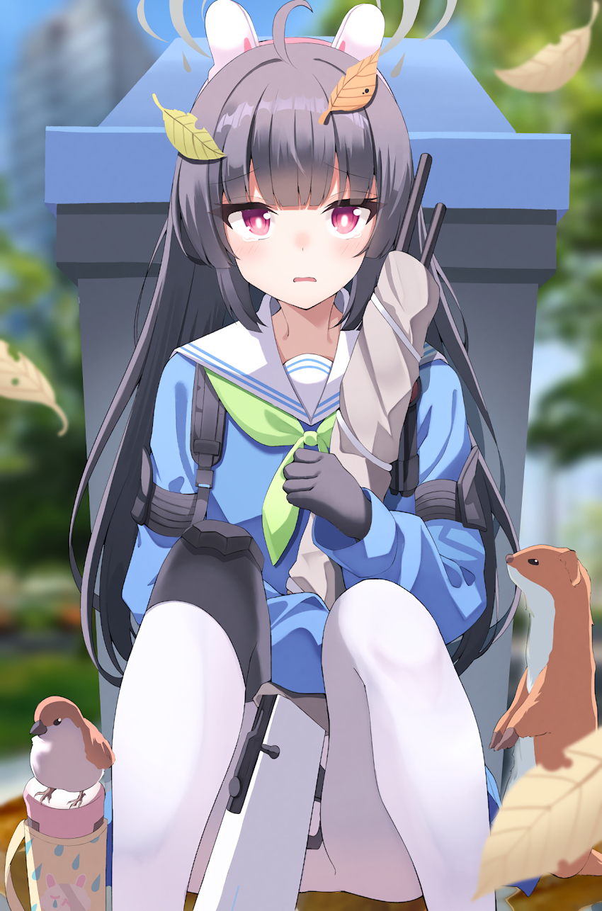 Miyu (Blue Archive) Rule 34 Image