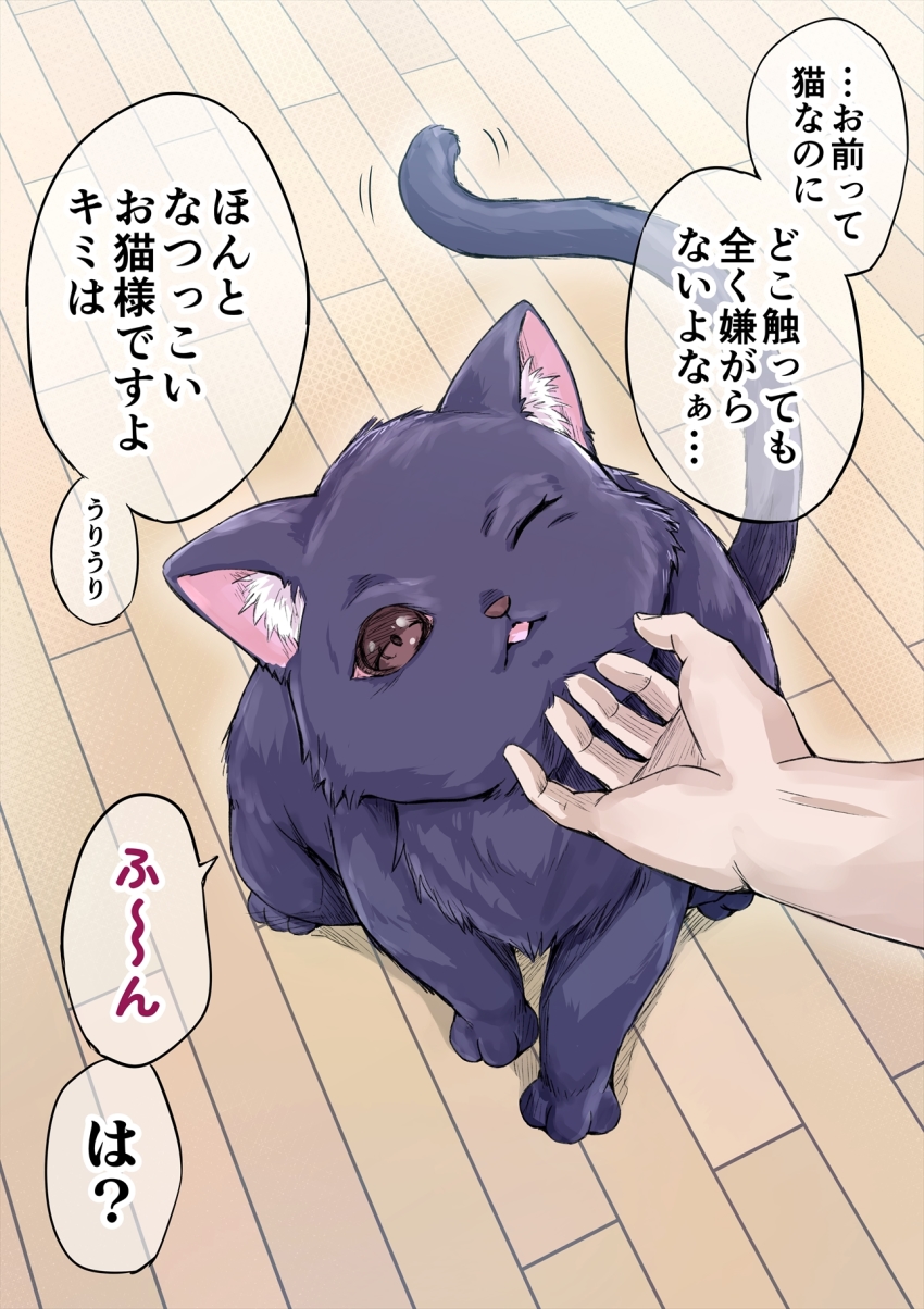 Koyuki (Kotatsu358) Rule 34 Image