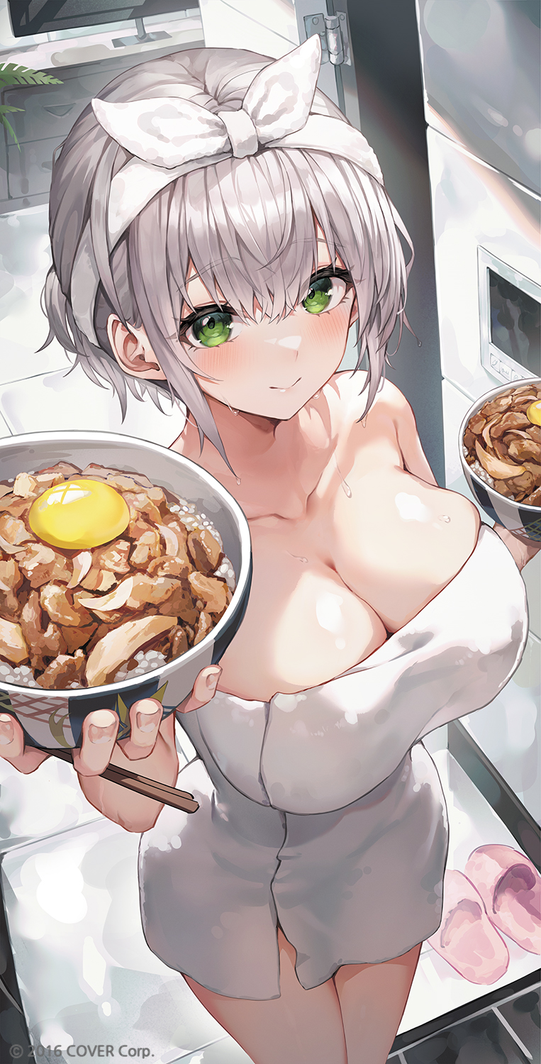 Shirogane Noel (Hololive) Rule 34 Image