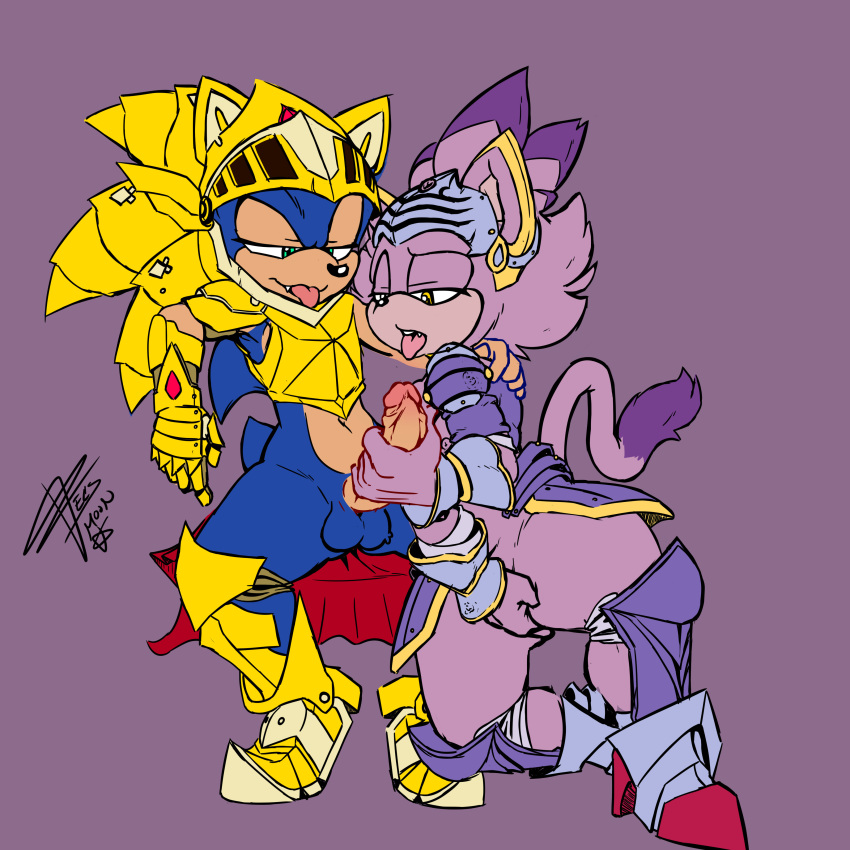 Blaze The Cat (Excalibur Sonic) Rule 34 Image