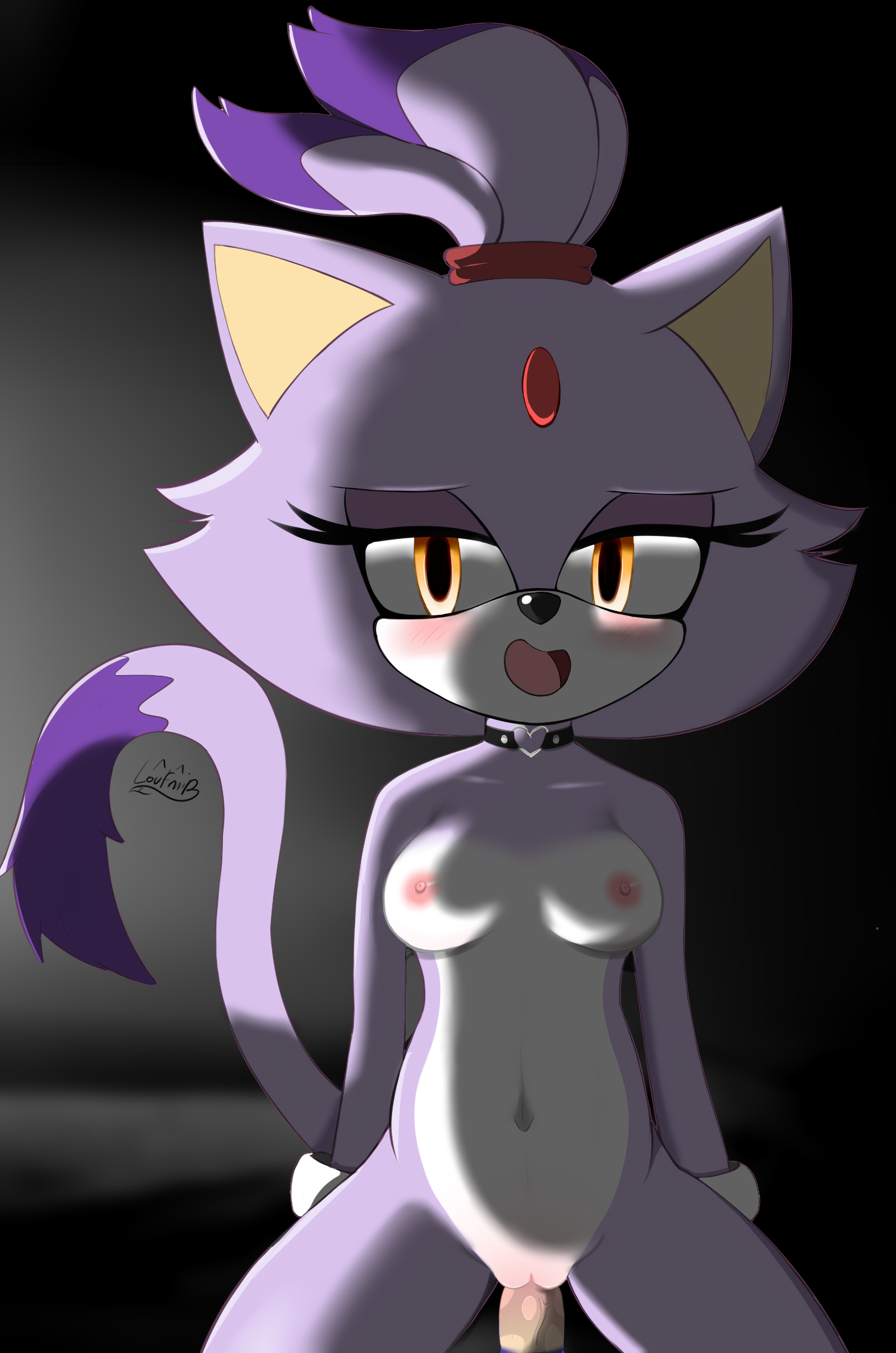 Blaze The Cat (Sonic (Series)) Rule 34 Image