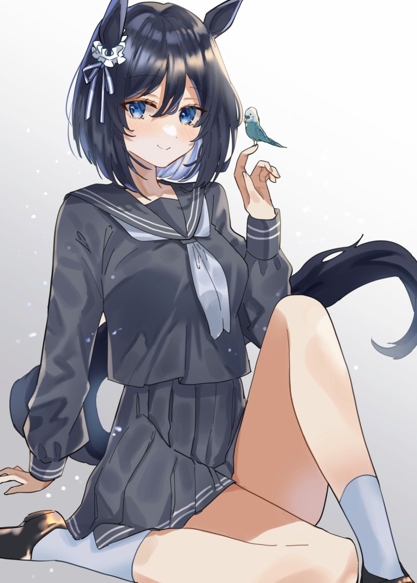 Eishin Flash (Umamusume) Rule 34 Image