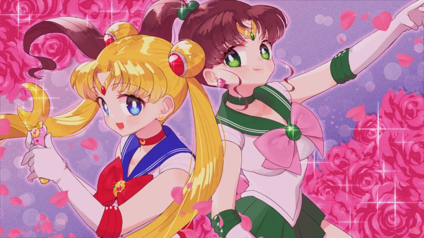 Kino Makoto (Bishoujo Senshi Sailor Moon) Rule 34 Image