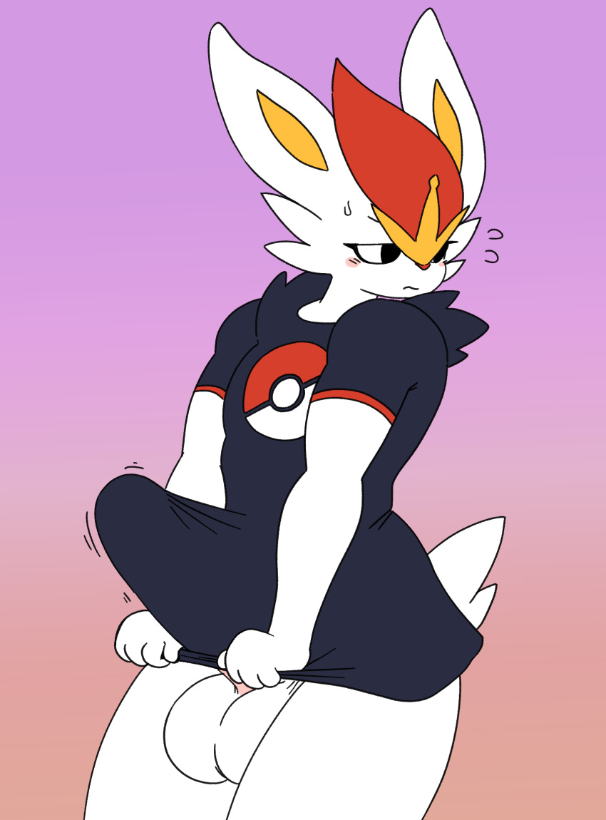 Cinderace (Nintendo) Rule 34 Image