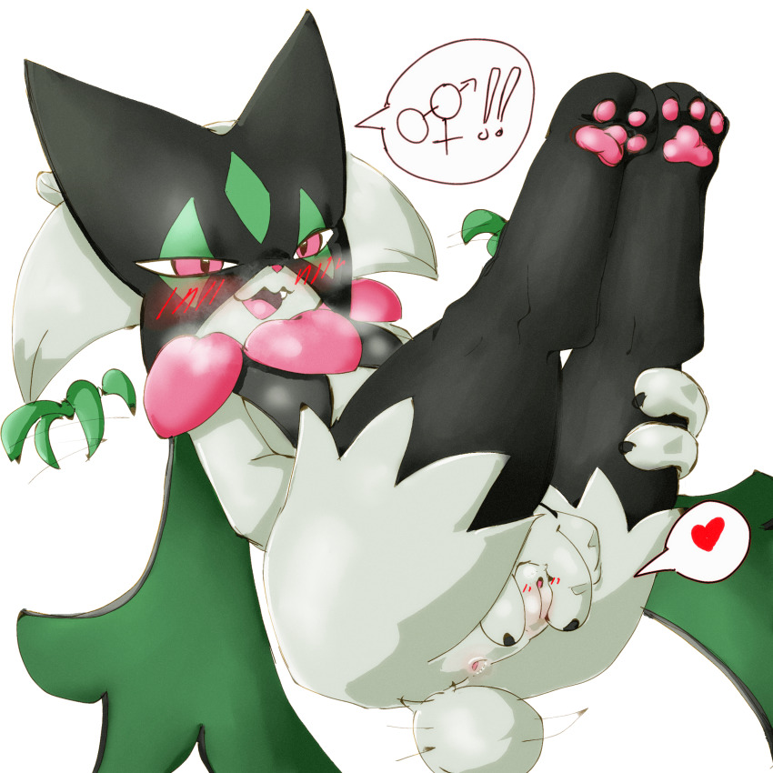 Meowscarada (Nintendo) Rule 34 Image