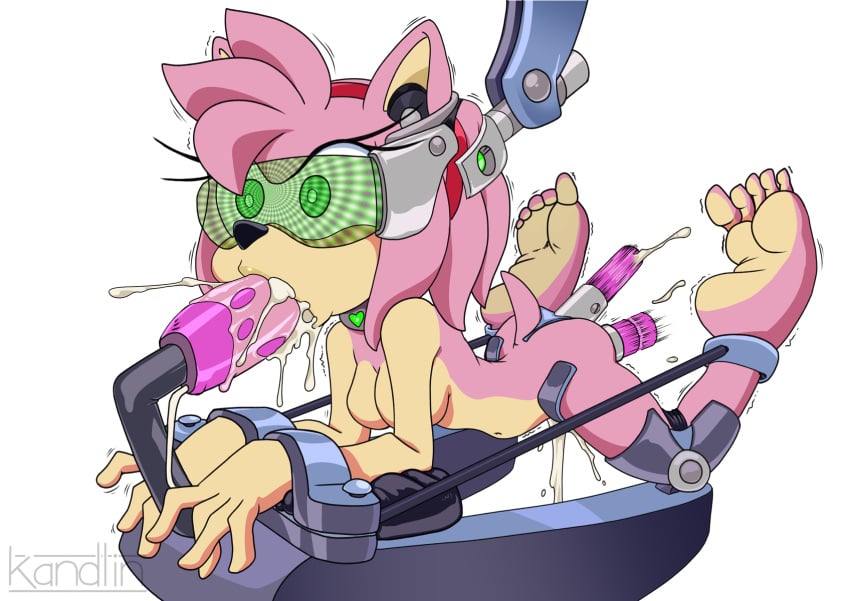 Amy Rose (Sonic (Series)) Rule 34 Image