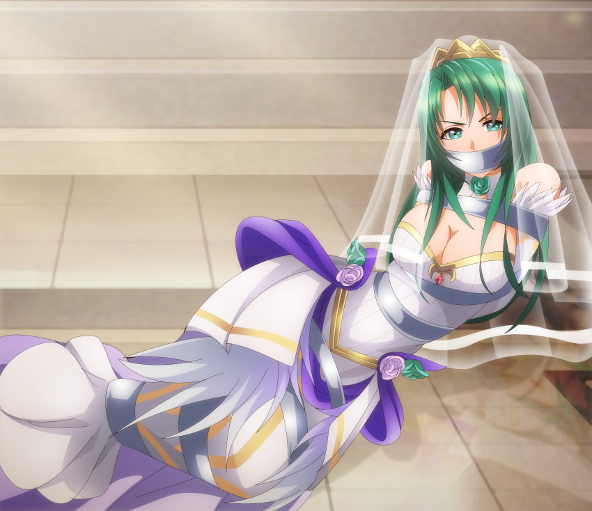 Cecilia (Fire Emblem) Rule 34 Image