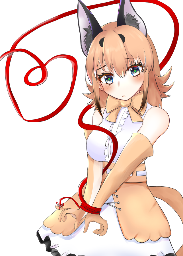 Caracal (Kemono Friends) Rule 34 Image