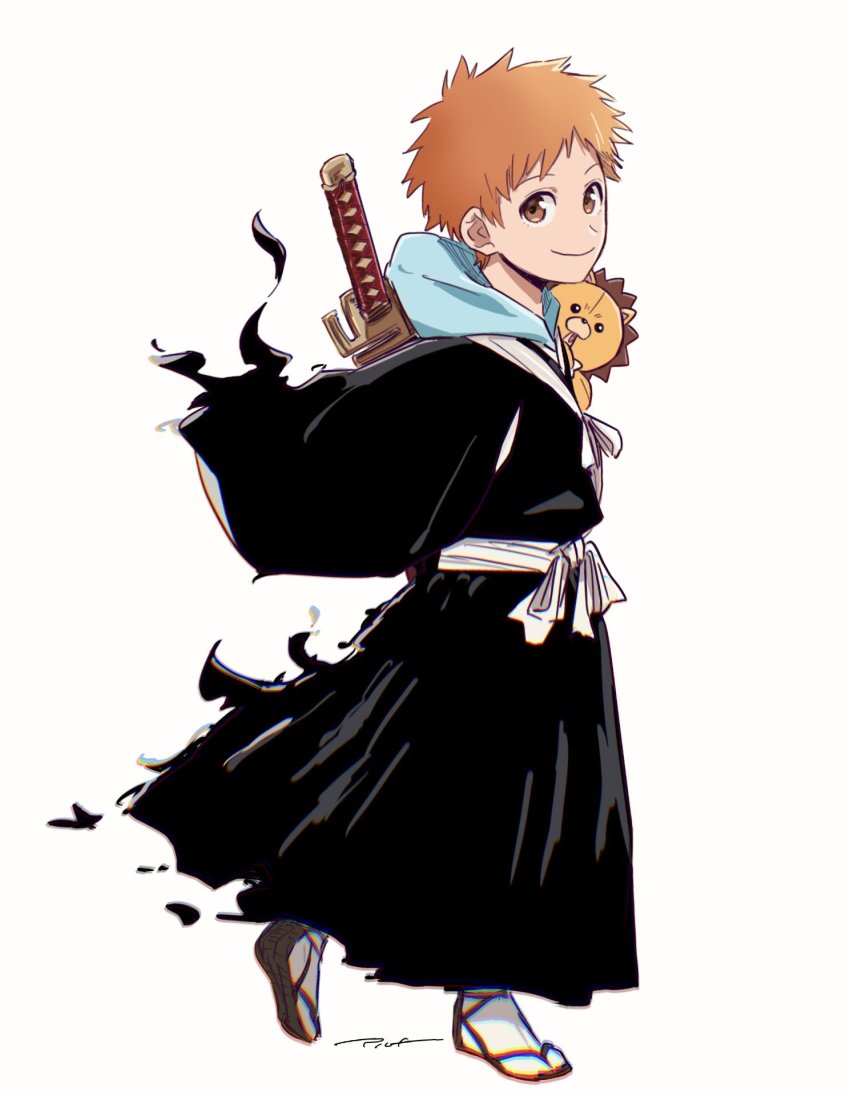 Kon (Bleach) Rule 34 Image