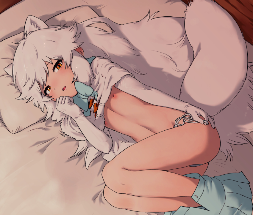 Arctic Fox (Kemono Friends) Rule 34 Image