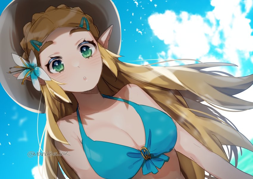 Princess Zelda (Nintendo) Rule 34 Image