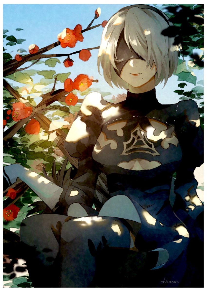 2b (Nier:Automata) Rule 34 Image