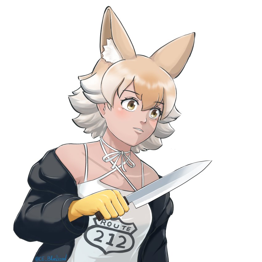 Coyote (Kemono Friends) Rule 34 Image