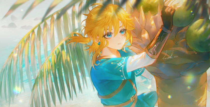 Link (Nintendo) Rule 34 Image
