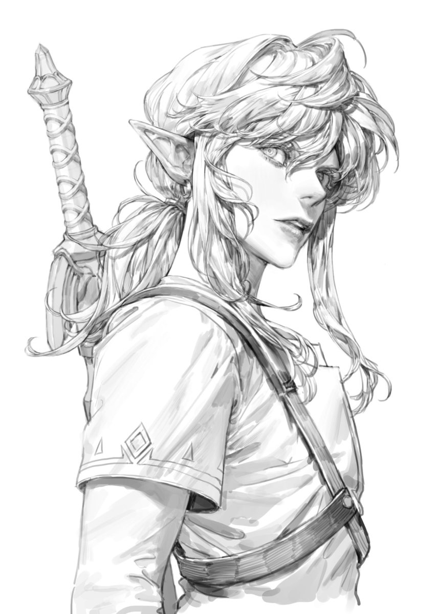 Link (Nintendo) Rule 34 Image