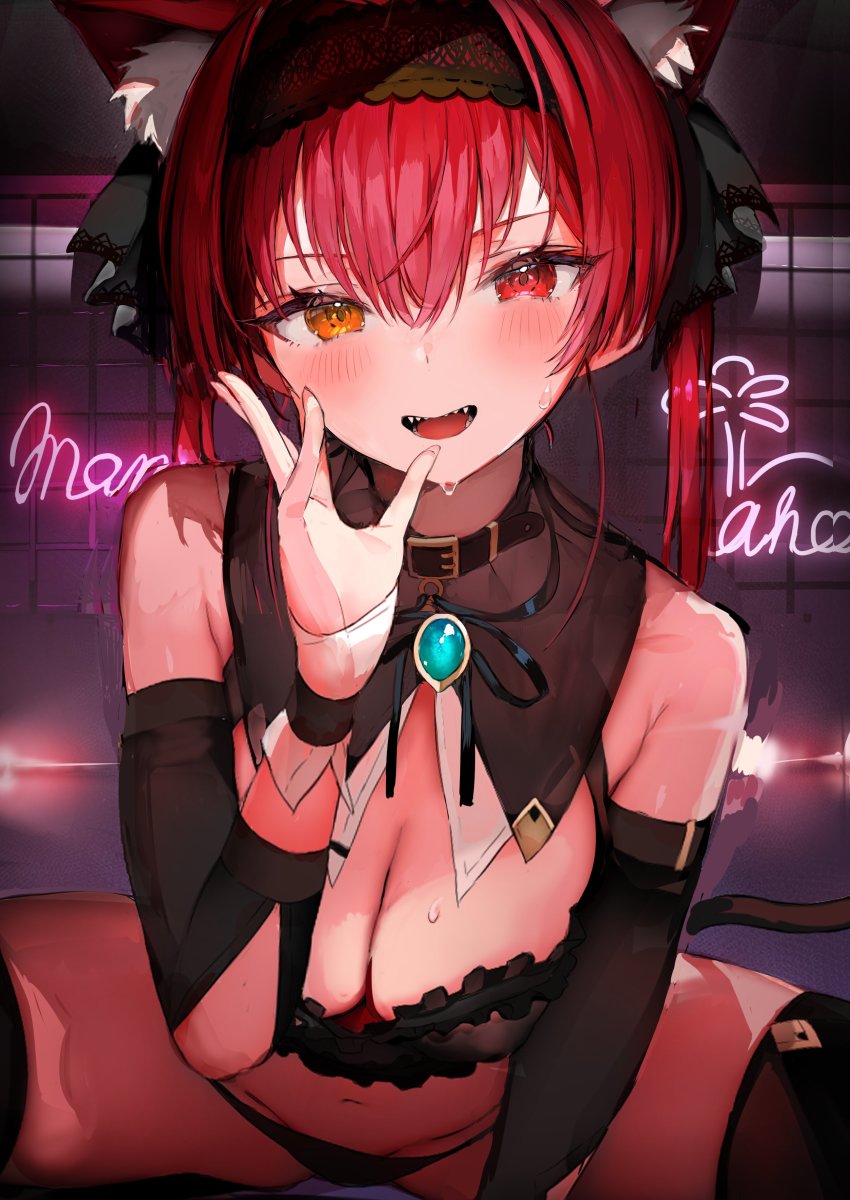 Houshou Marine (Hololive) Rule 34 Image