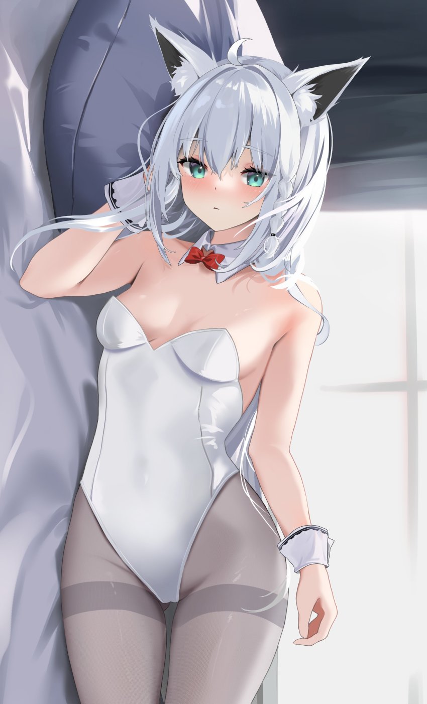 Shirakami Fubuki (Hololive) Rule 34 Image