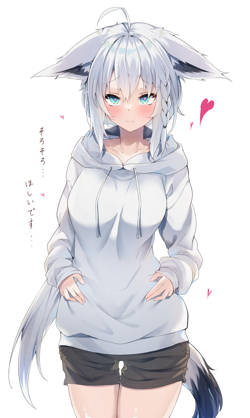 Shirakami Fubuki (Hololive) Rule 34 Image