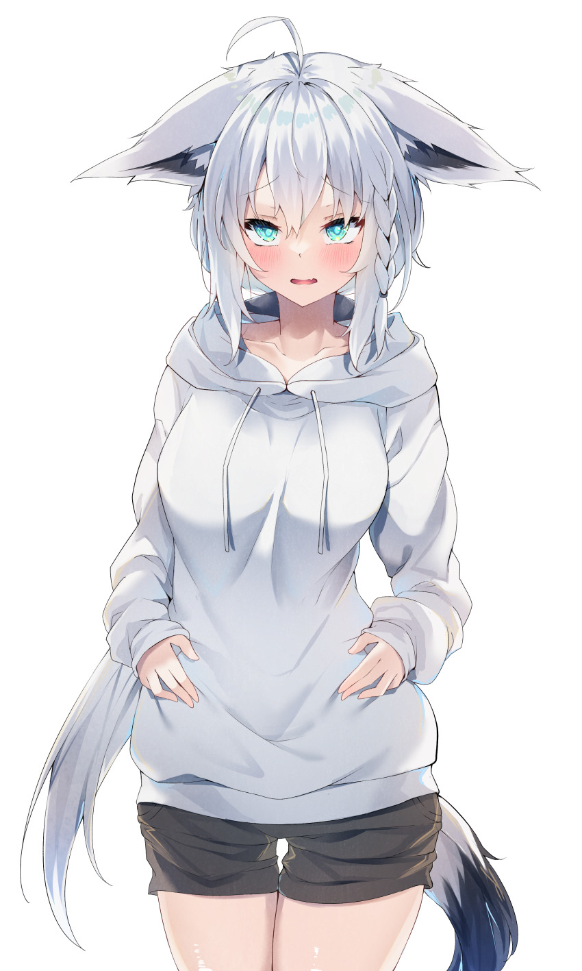 Shirakami Fubuki (Hololive) Rule 34 Image