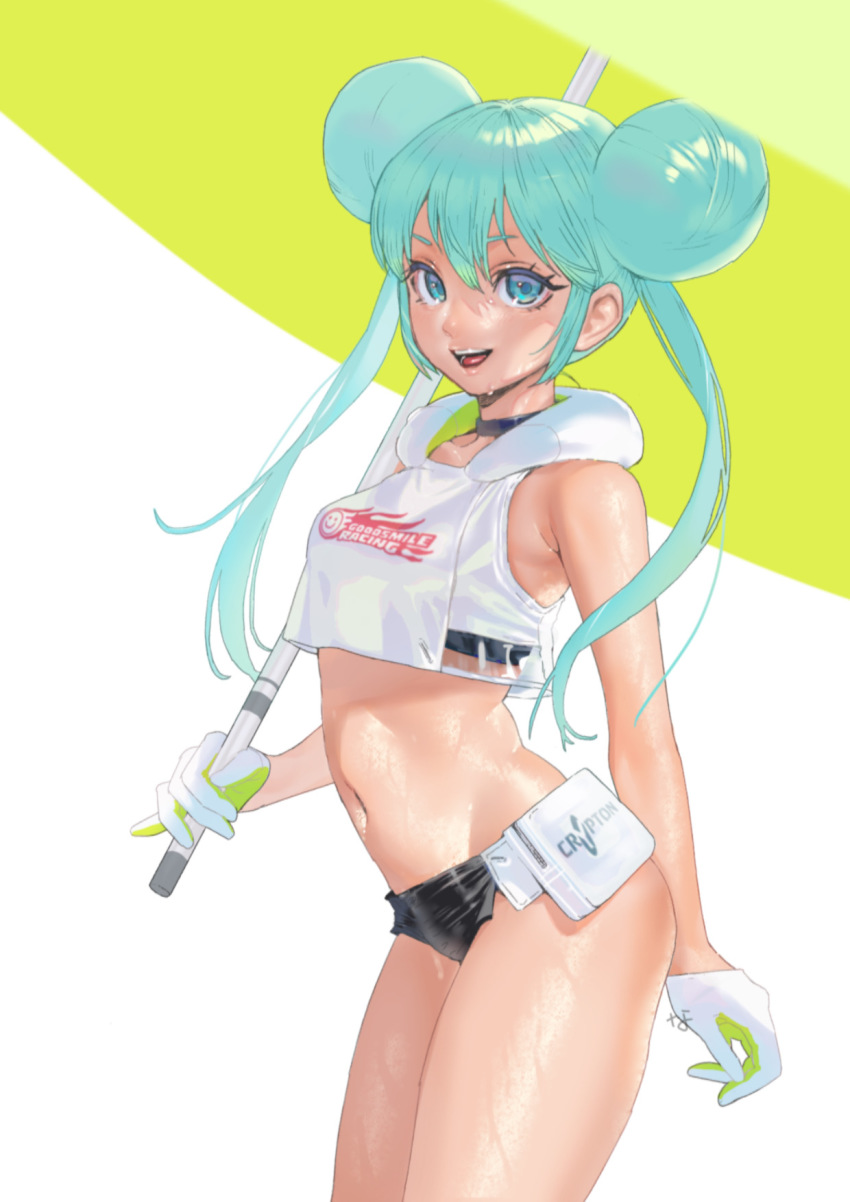 Hatsune Miku (Goodsmile Company) Rule 34 Image