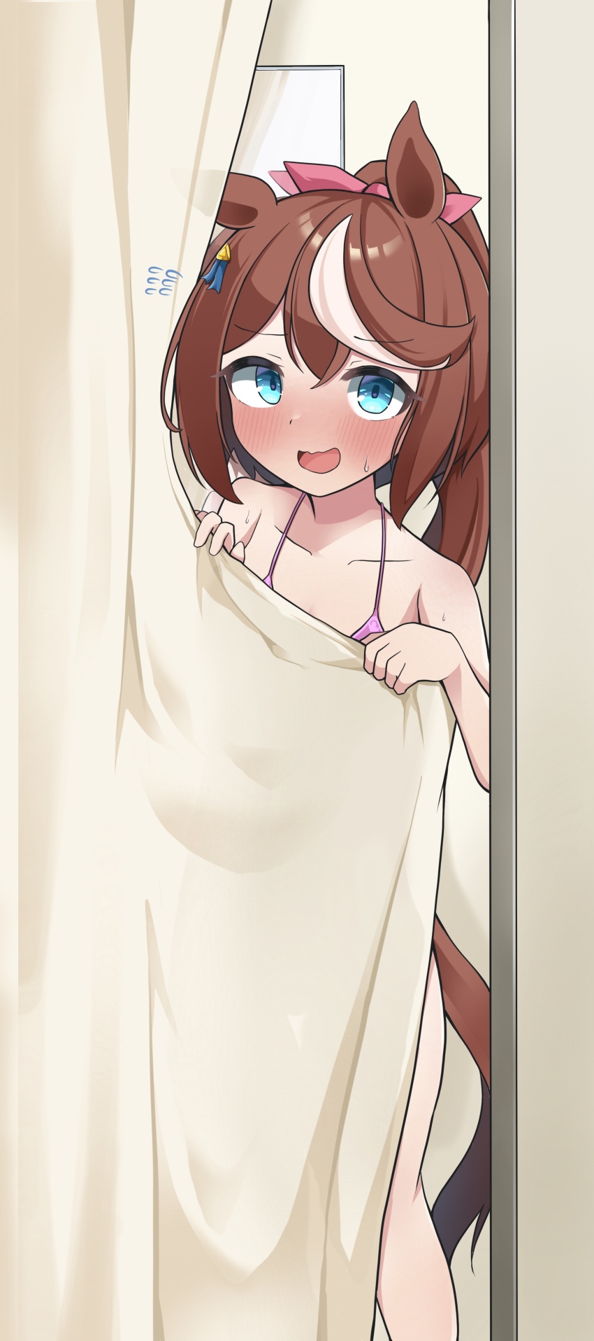 Tokai Teio (Umamusume) Rule 34 Image