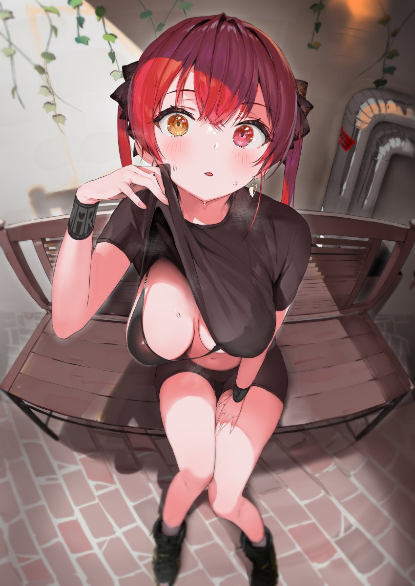 Houshou Marine (Hololive) Rule 34 Image